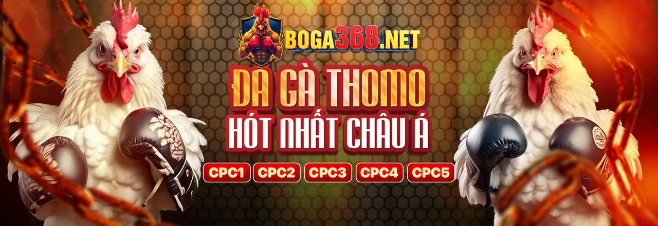 Giao diện cá cược trực tiếp trên hubet với các trận đấu đang diễn ra và tỷ lệ cược thay đổi
